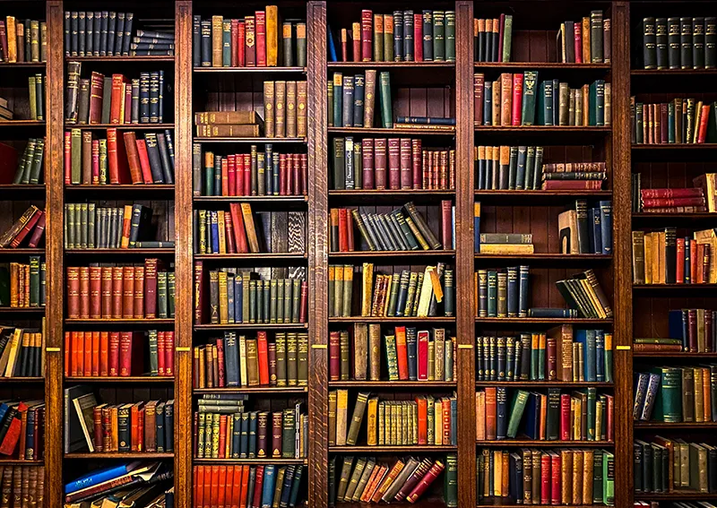 Bibliotheken umziehen: Sicherer Transport von Büchern und Archivalien